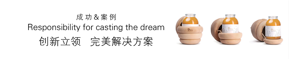 成功案例