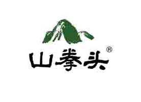 品牌营销策划—山拳头食品