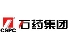 产品营销策划—石药果维康